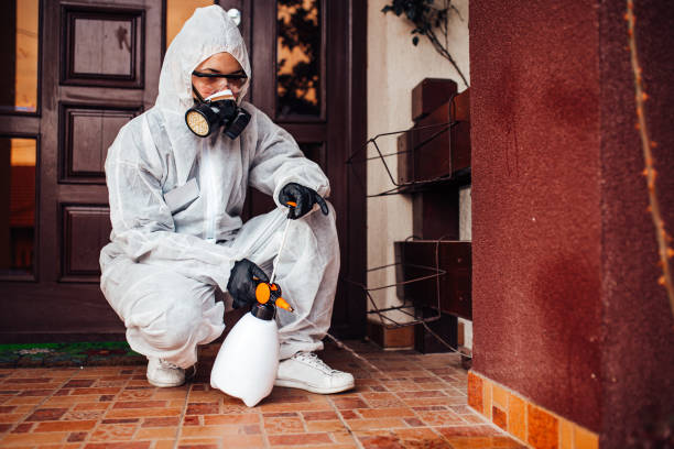 Reliable Wasp Removal contractor in Whitewater, KS by Show Me Pest Control